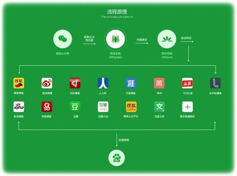 新媒体运营:数字化时代的潮流之选